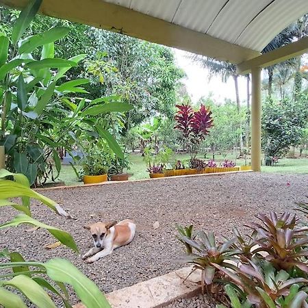 Villa Anacahuita, Limonal คาราวากวา ภายนอก รูปภาพ