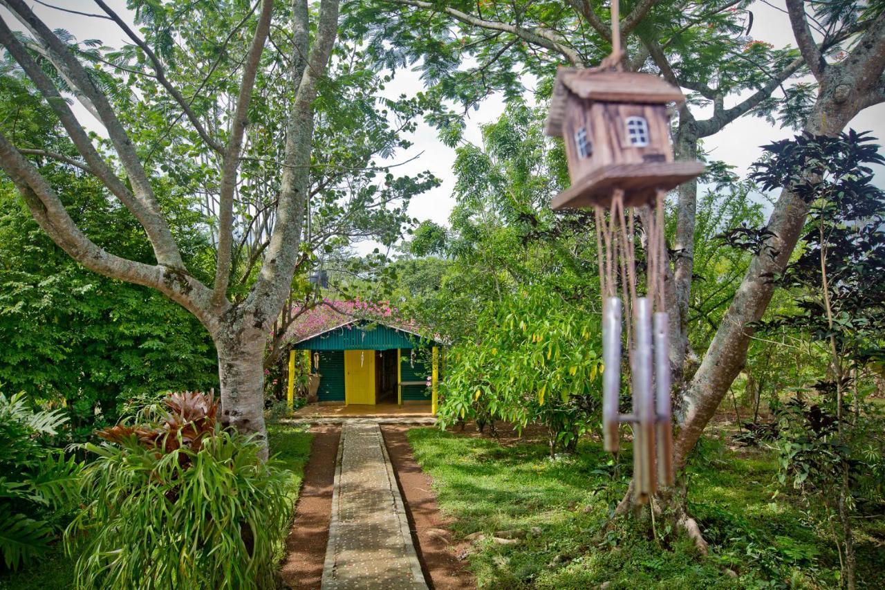 Villa Anacahuita, Limonal คาราวากวา ภายนอก รูปภาพ